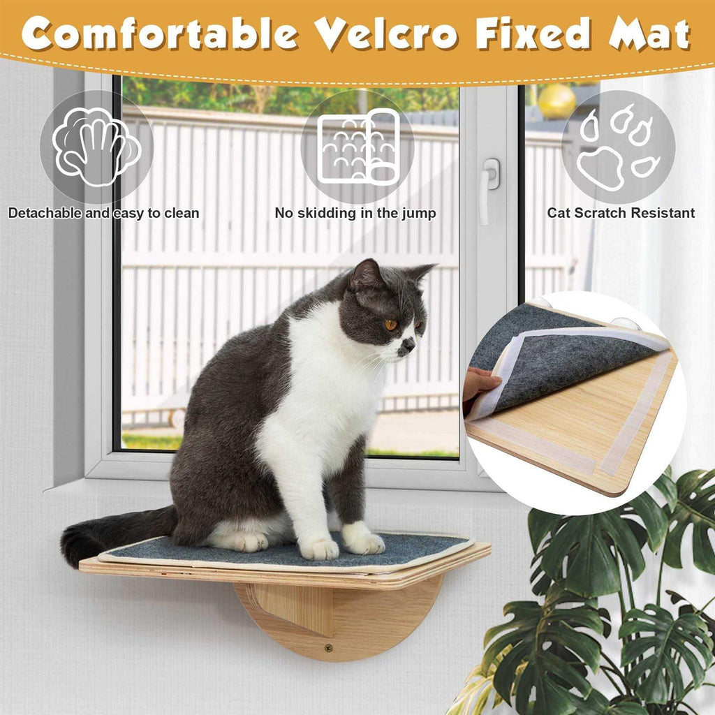 Cat Window Perch with Suction Cups O5960