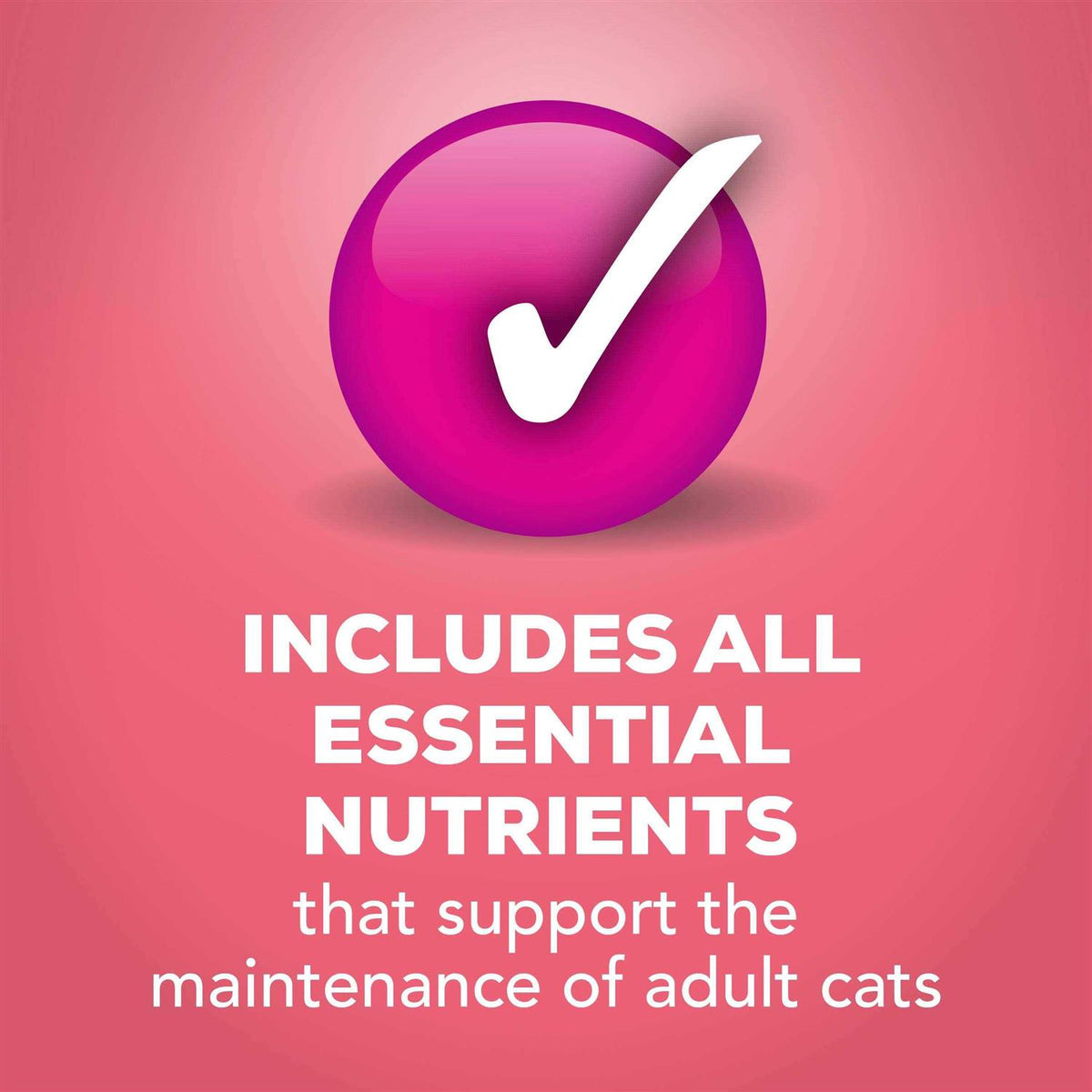Wet Cat Food Gravy F6288