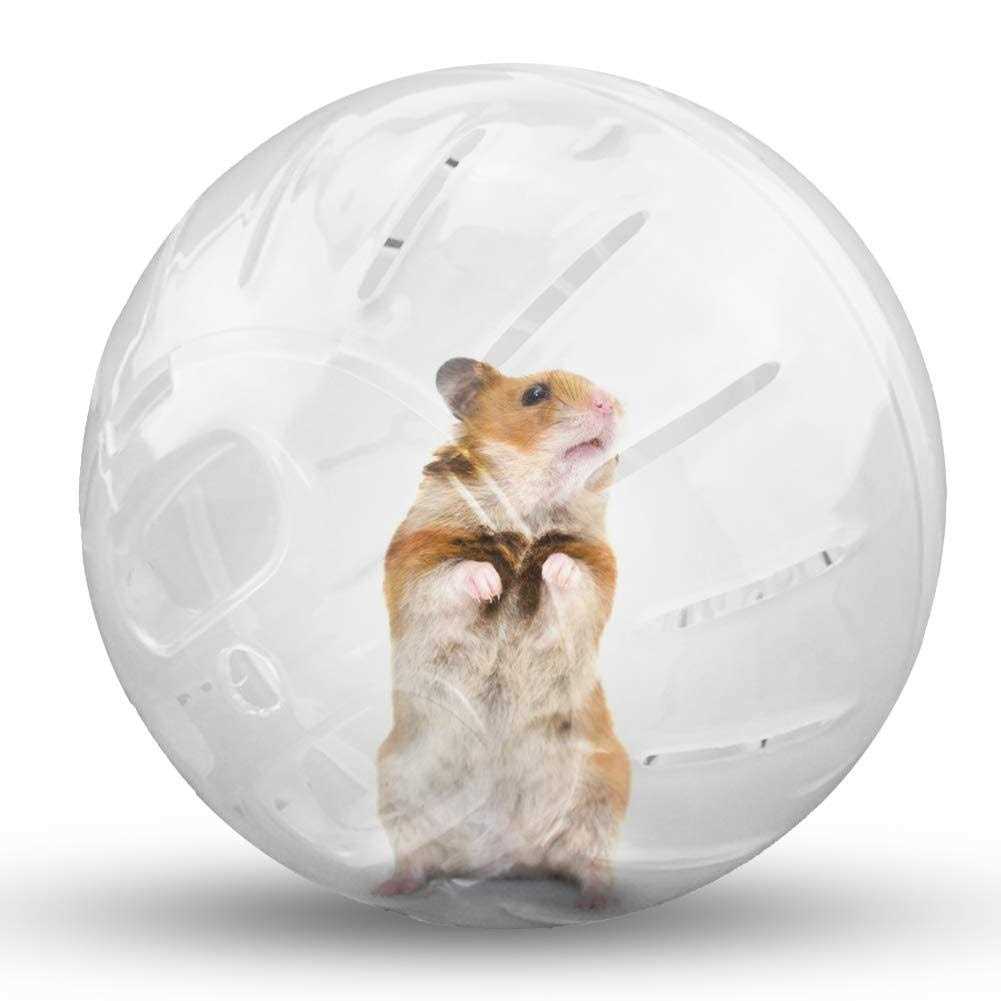 Hamster Exercise Ball Transparent D61098