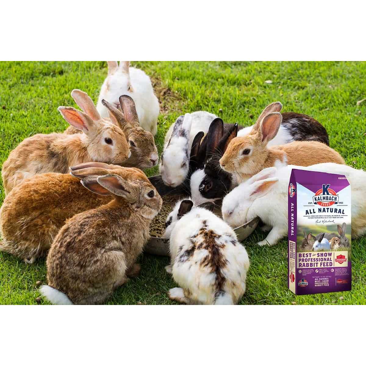 50 lb 18% Rabbit Feed A1279