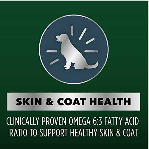 Chicken and Salmon Recipe Dry Dog Food O59836