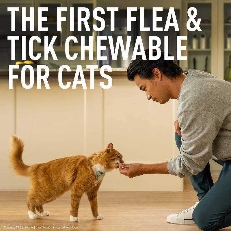 Credelio for Cats R52458