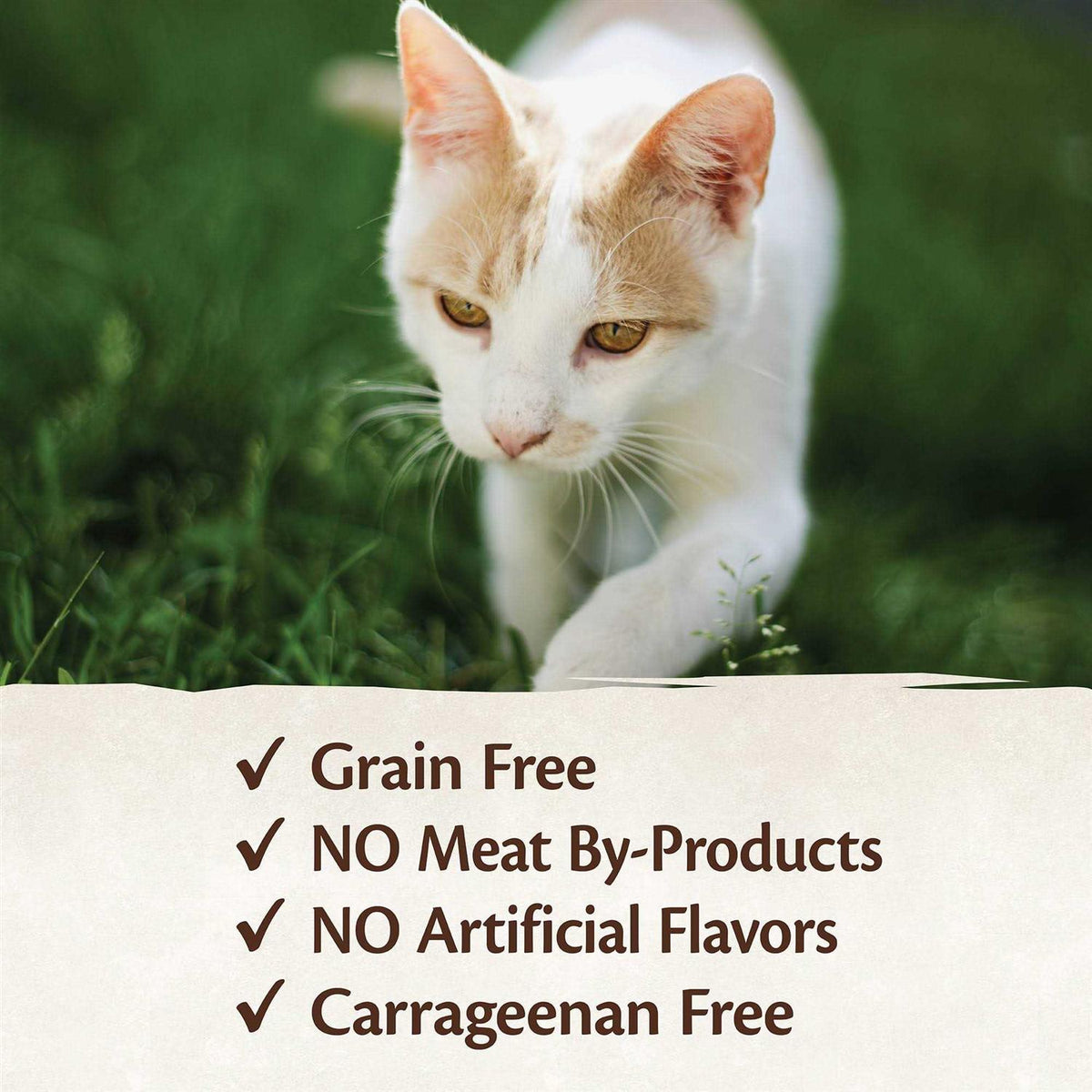 Cat Food O6665