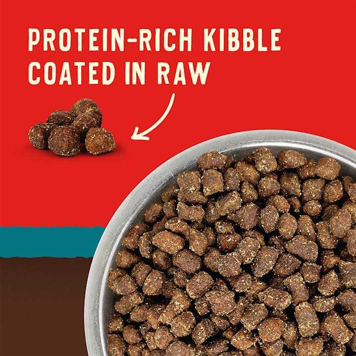 Grain Free High Protein Dry Dog Food V8543
