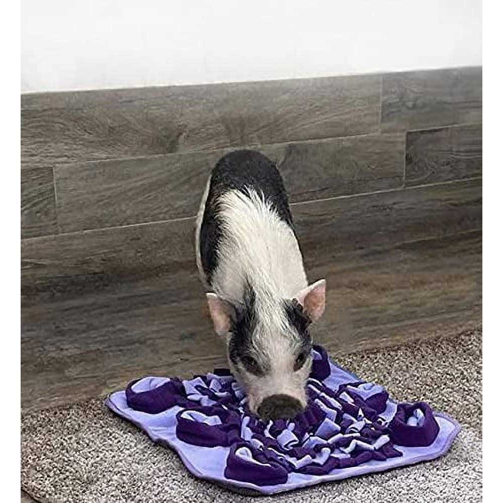 Snuffle Mat P987