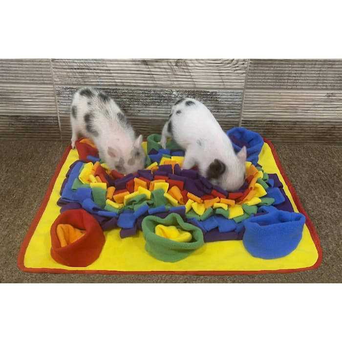 Snuffle Mat P987
