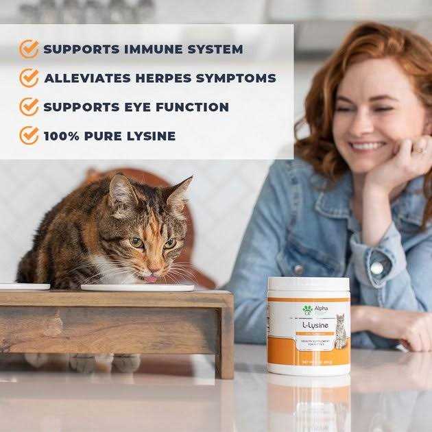 Cat Lysine Supplement R488684