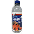 Fresh Water Hermit Crab Y88451