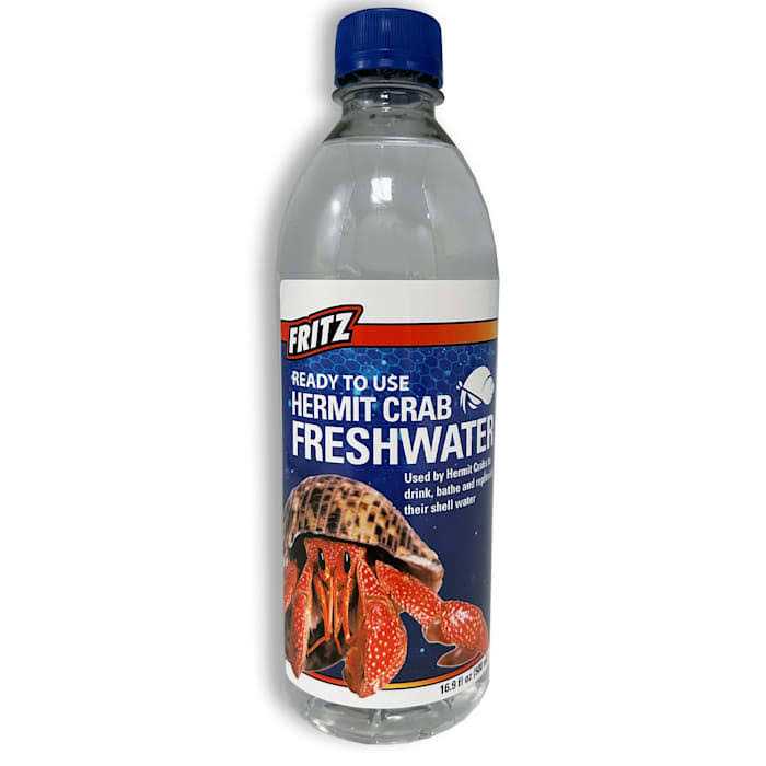 Fresh Water Hermit Crab Y88451