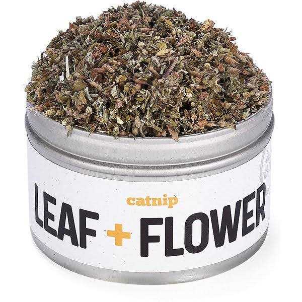 Silver Vine Catnip Q781991