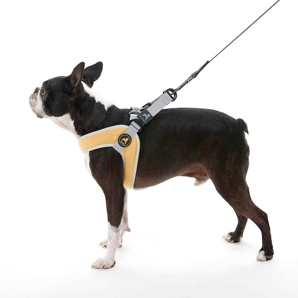 Step-In Dog Harness X6765