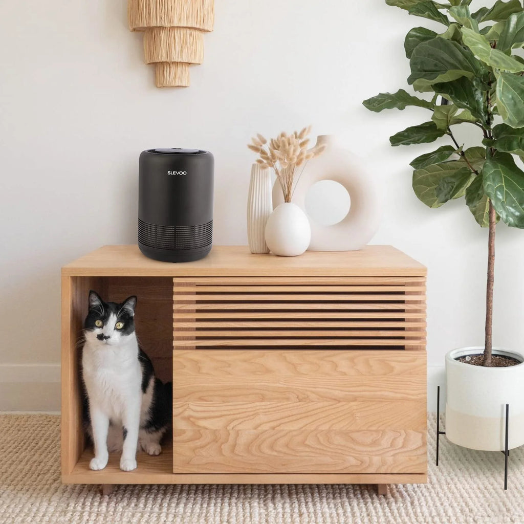 Black H13 True HEPA Air Purifier C202460