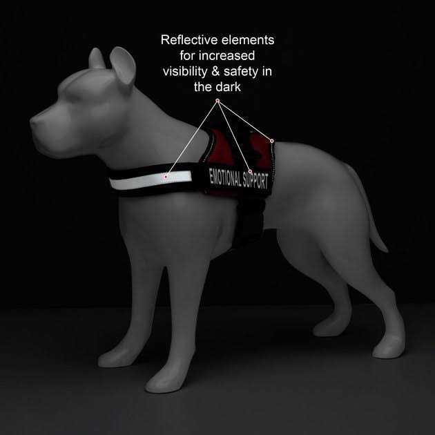 Reflective Dog Vest Harness and Leash Set D1640