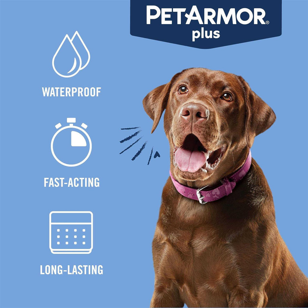 Flea and Tick Prevention for Large Dogs P73861