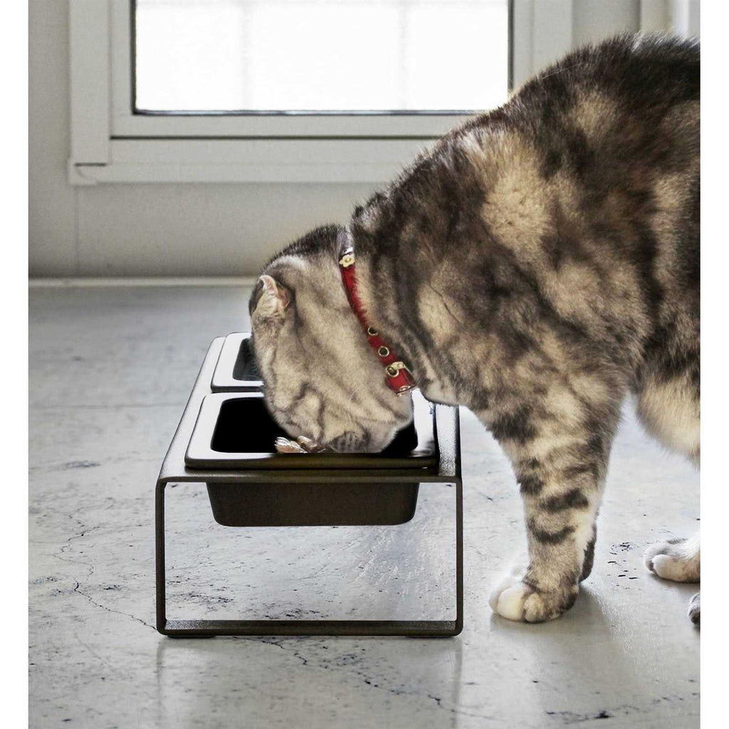 Pet Food Bowl R667295