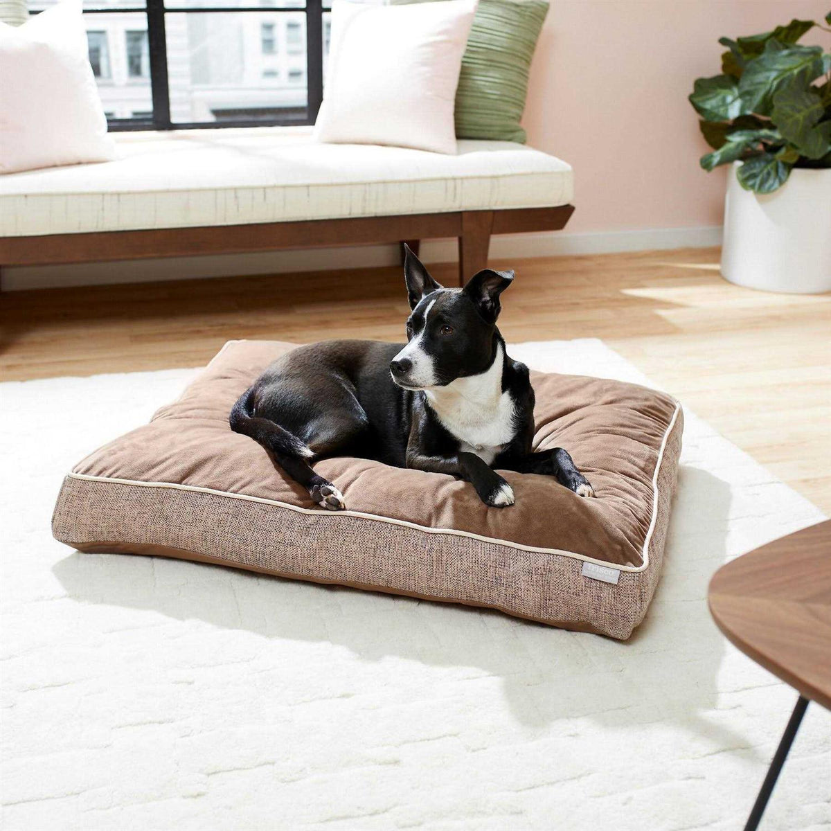 Plush Orthopedic Dog Bed with Removable Cover X377