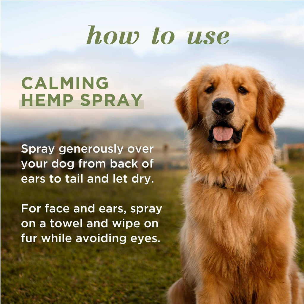 Calming Hemp Dog Spray B152336