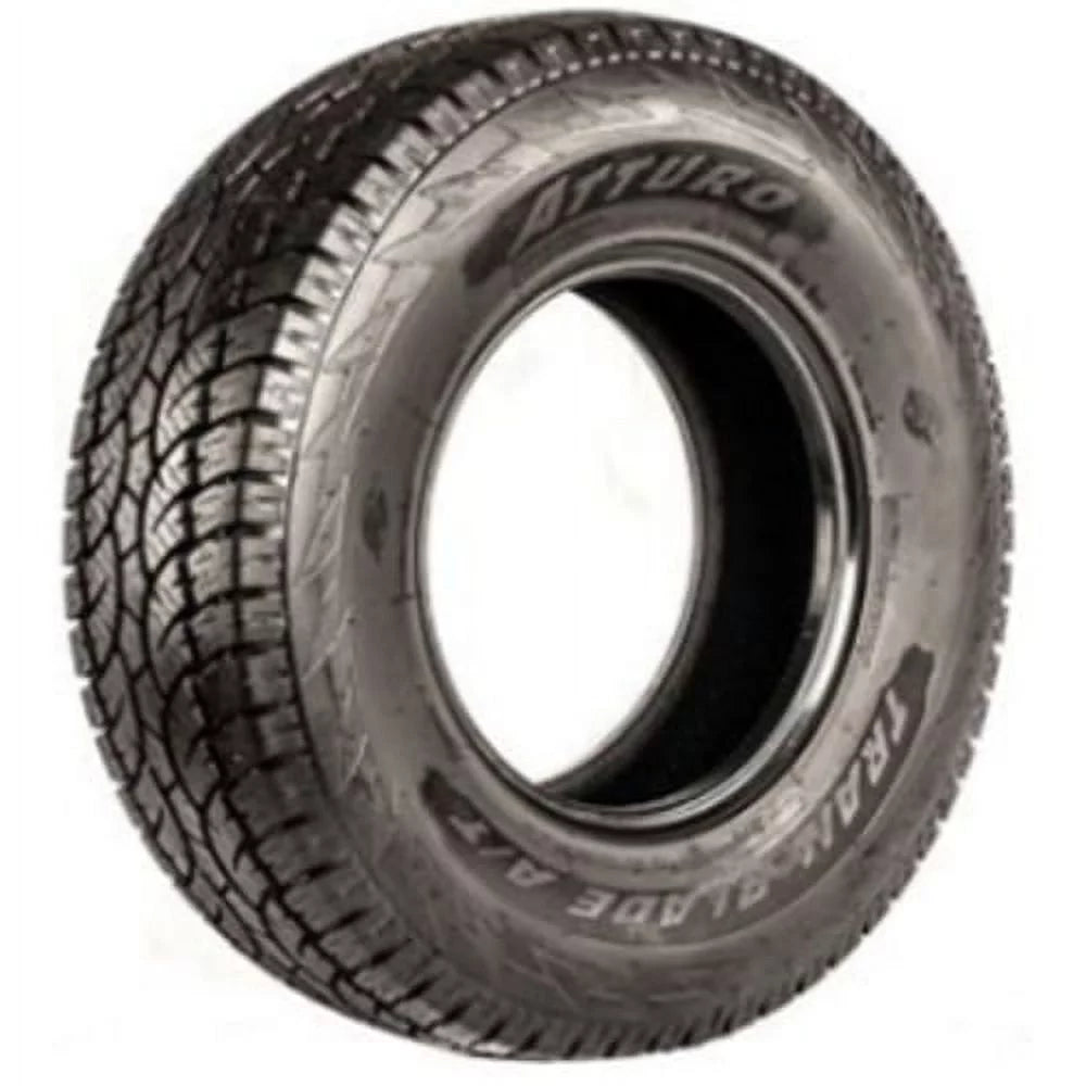 All Terrain Light Truck Tire N305