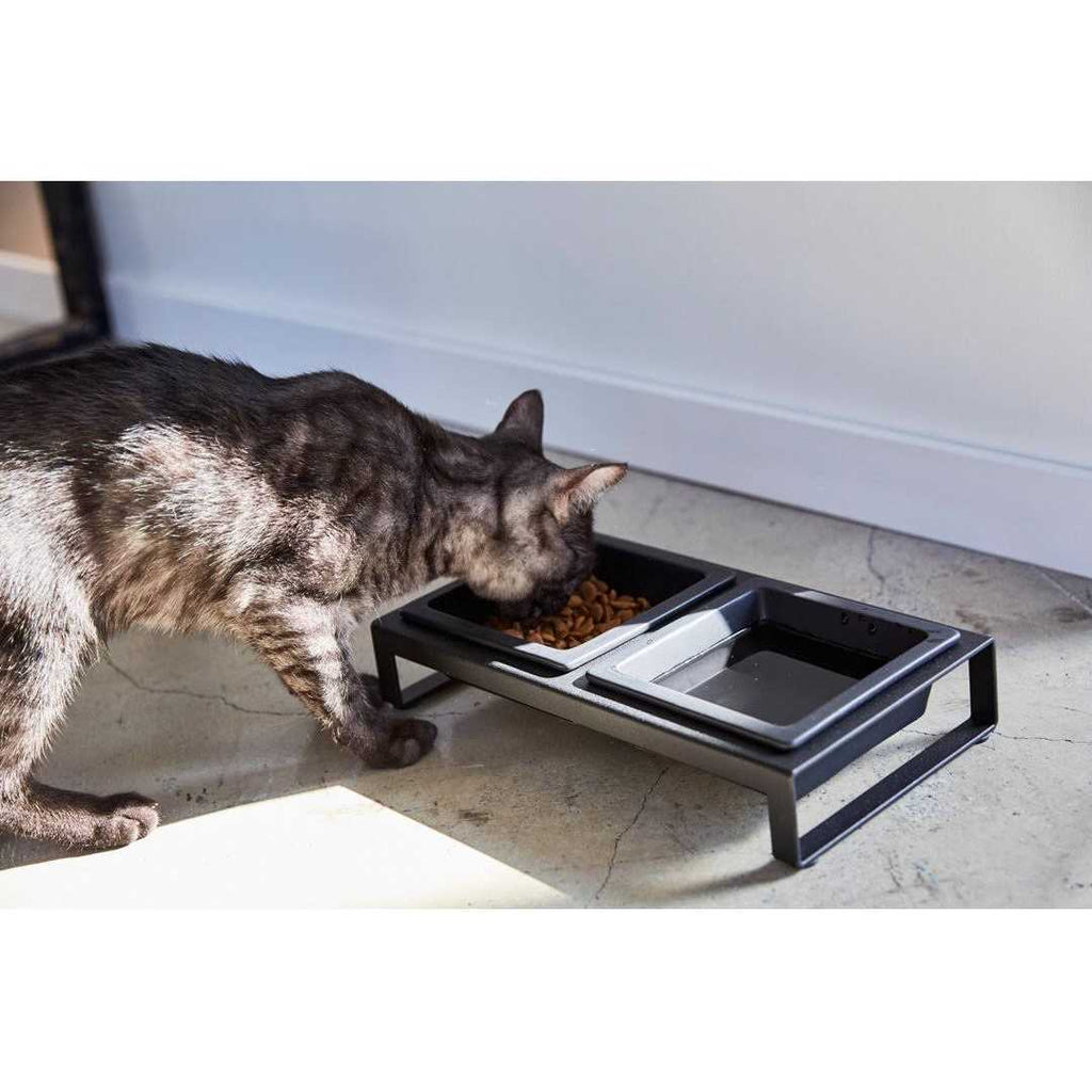 Pet Food Bowl R667295