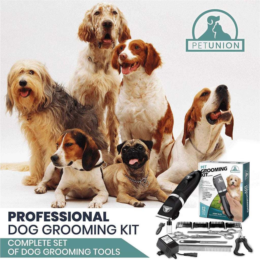 Cordless Low Noise Dog Grooming Clippers B37480