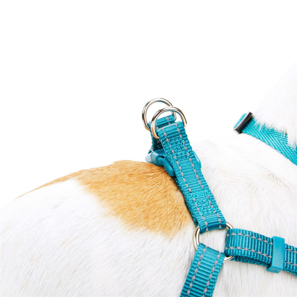 Reflective Dog Harness I3608