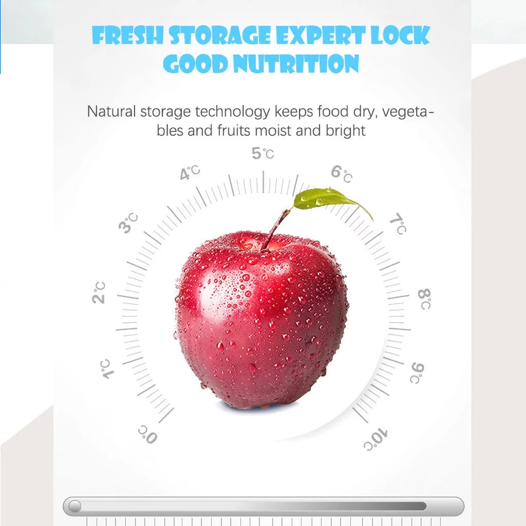 10L Portable Electronic Refrigerator K381