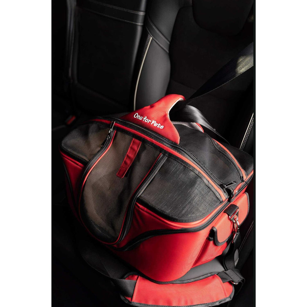 Cozy Pet Carrier N44853