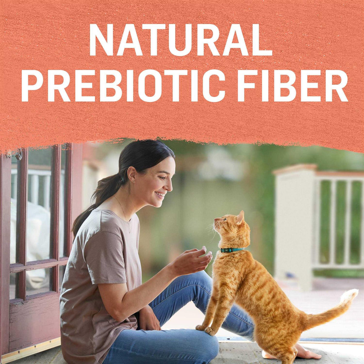 Grain Free Salmon & Sweet Potato Cat Food O58543